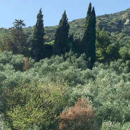 アパートホテル Belvedere Zakynthos Vasilikí
